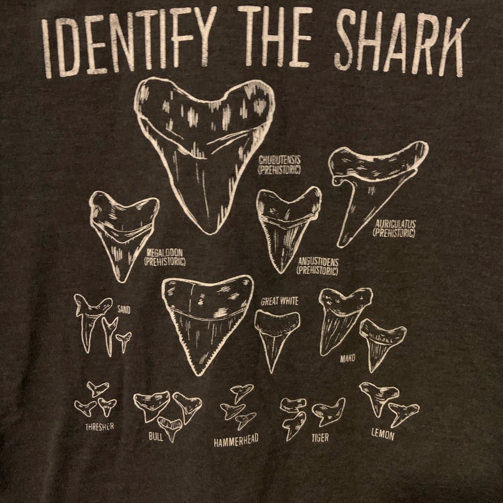 Identify the shark tooth tee shirt XL 16 Cat & Jack Grey